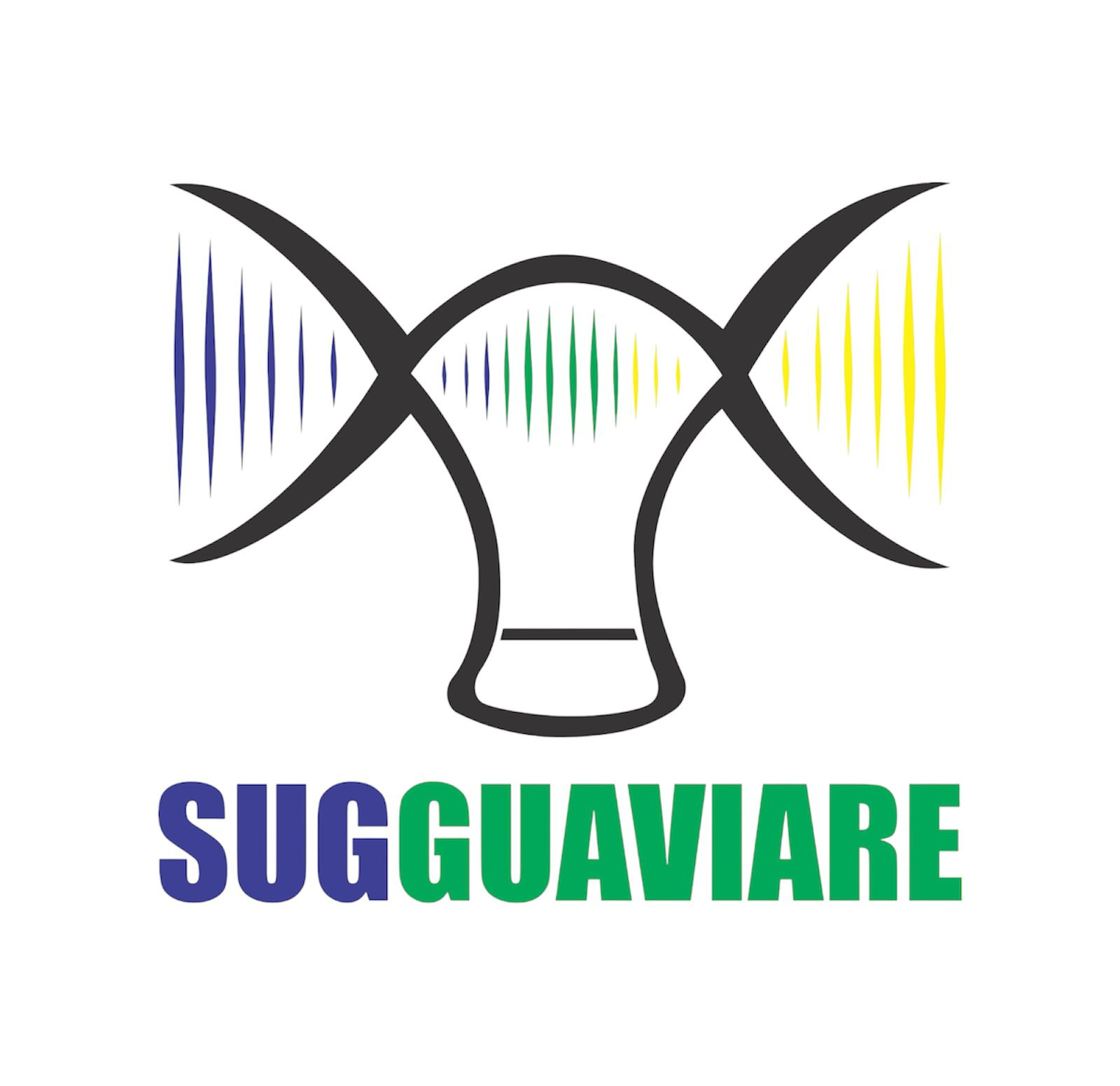 Logo de Sugguaviare
